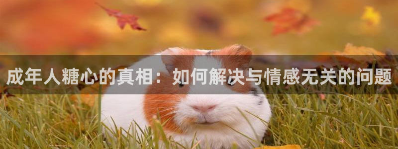 vlog糖心蛋：成年人糖心的真相：如何解