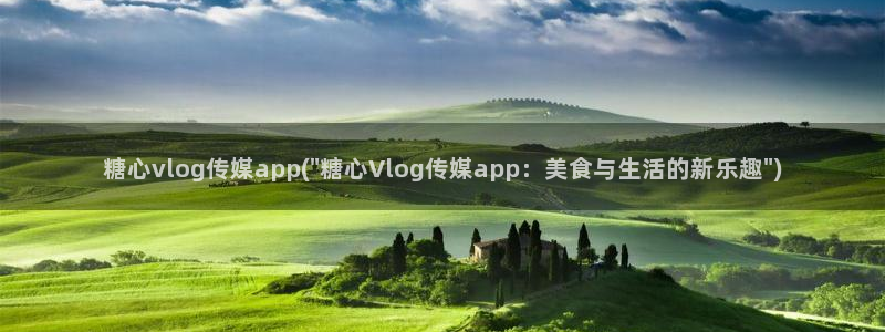 糖心vlog官网色污：糖心vlog传媒app(\