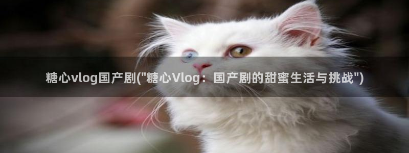 糖心vlog首页的是谁：糖心vlog国产剧(\