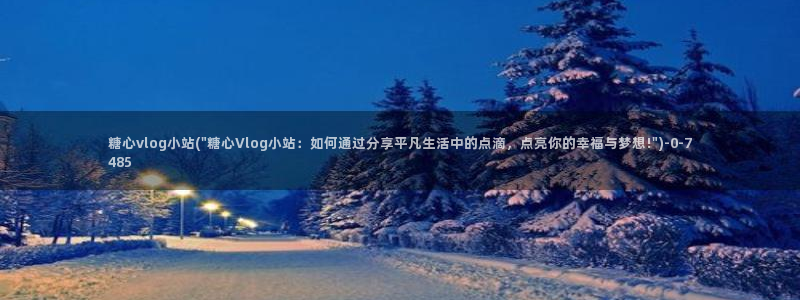 糖心vlog厕所：糖心vlog小站(\