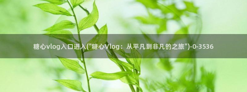 糖心vlog刻晴：糖心vlog入口进入(\