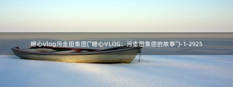 糖心vlog煎饼蛋：糖心vlog污圭田集团(\