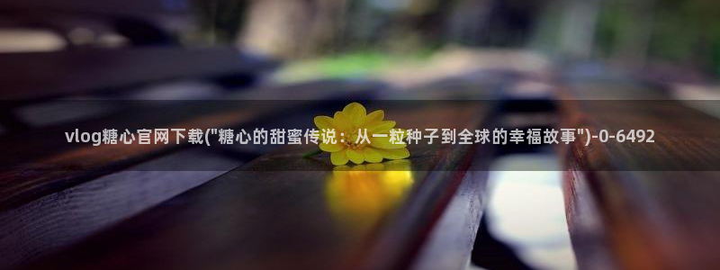 糖心vlog出品视频